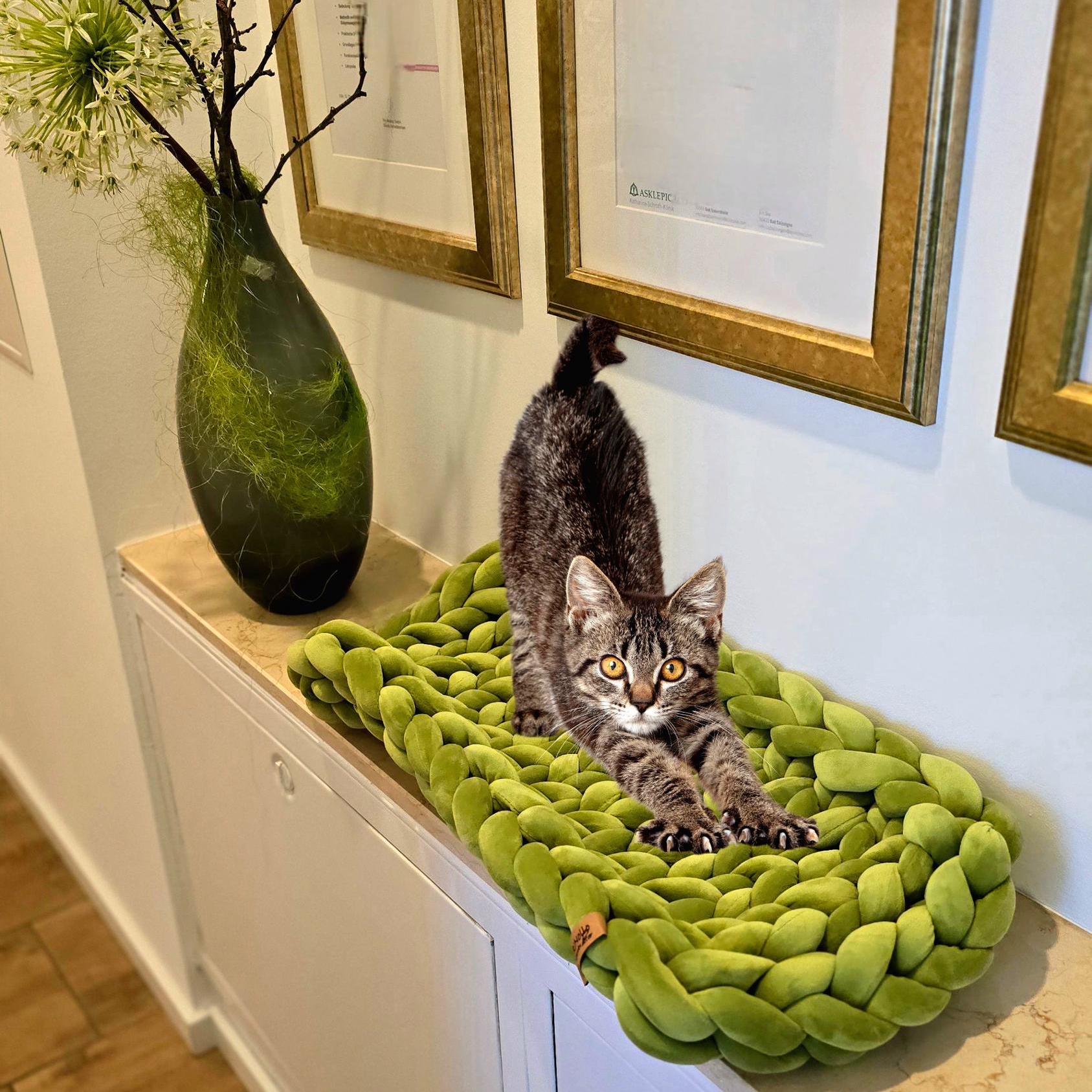 Egal ob du ein weiches Haustierbett, ein elegantes Katzensofa oder ein kuscheliges Katzenkissensuchst – wir haben das perfekte Produkt für dein Haustier.