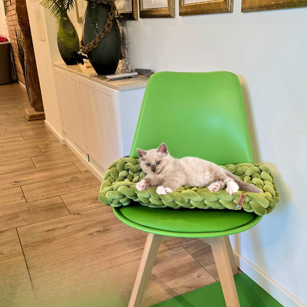 Mach deinem geliebten Haustier eine Freude und verwandle dein Zuhause in eine stilvolle Oase für deine Samtpfote mit unserer hochwertigen Fensterbankliege für Katzen.