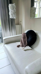 Ideal als Katzenkissen oder Katzensofa, verwandelt das Katzenbett jede Fensterbank in einen Luxusplatz für deine Samtpfote.