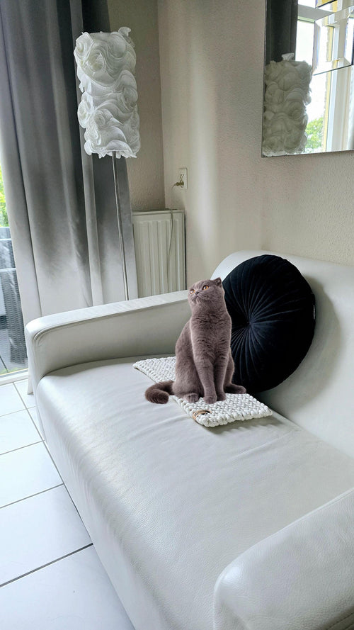 Ideal als Katzenkissen oder Katzensofa, verwandelt das Katzenbett jede Fensterbank in einen Luxusplatz für deine Samtpfote.