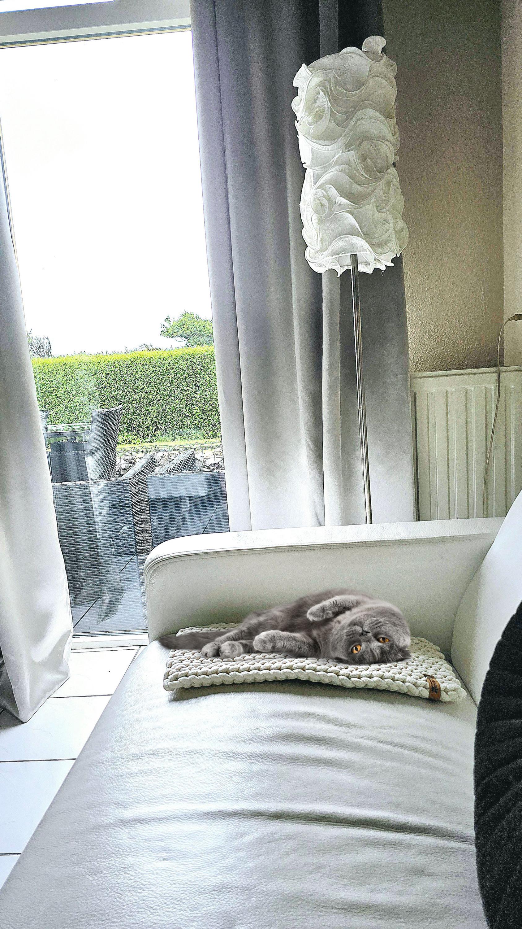 Dein Liebling wird das Katzenbett für Fensterbank lieben, das bequem und warm ist, perfekt zum Sonne tanken.