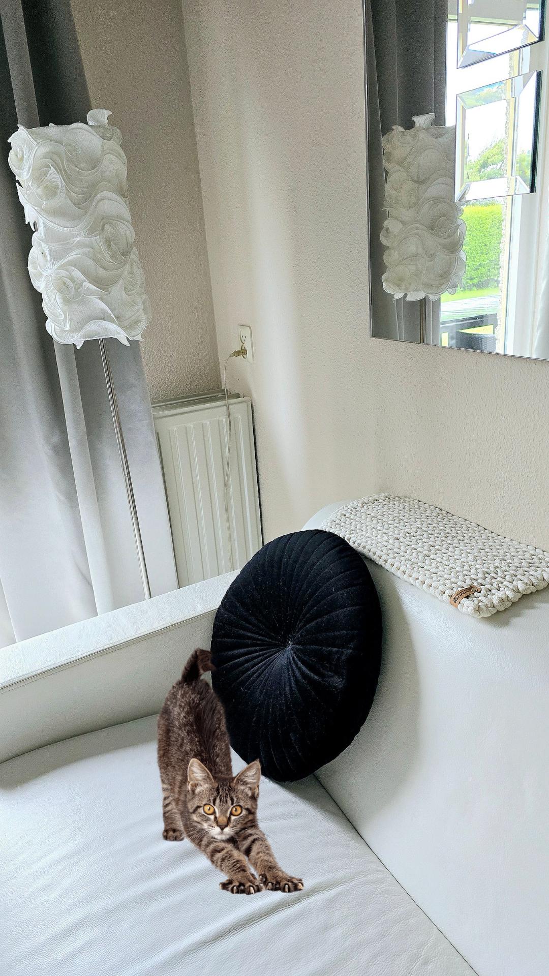 Die Katzenliege sorgt für zusätzlichen Komfort, während die Fensterbankliege für Katzen auch als praktisches Haustierbedarf-Accessoire glänzt.