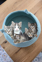 Dieses Haustierbett kombiniert elegantes Design mit erstklassigem Komfort – ob als Katzensofa oder Katzenbett.