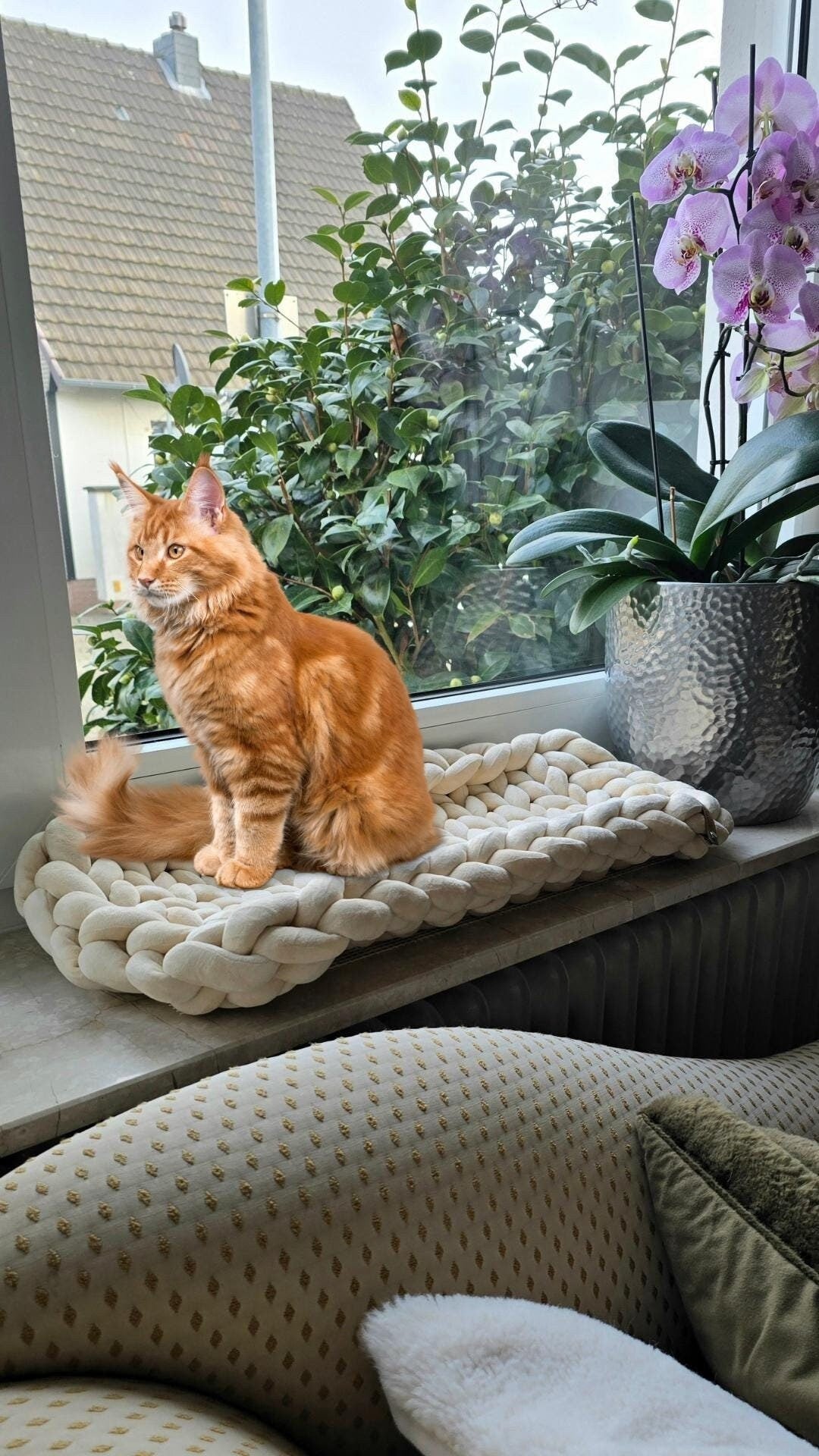 Fensterbank-Lounger für Katzen – Bequemes Katzenbett & Sofa in [Neue Farbe] – Handgefertigtes Haustiermöbel