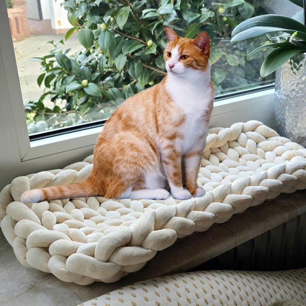 ✔ Perfekte Passform: Passt ideal auf Fensterbänke, damit deine Katze entspannt die Aussicht genießen kann.
✔ Weich & gemütlich: Hochwertige Polsterung sorgt für maximalen Komfort.