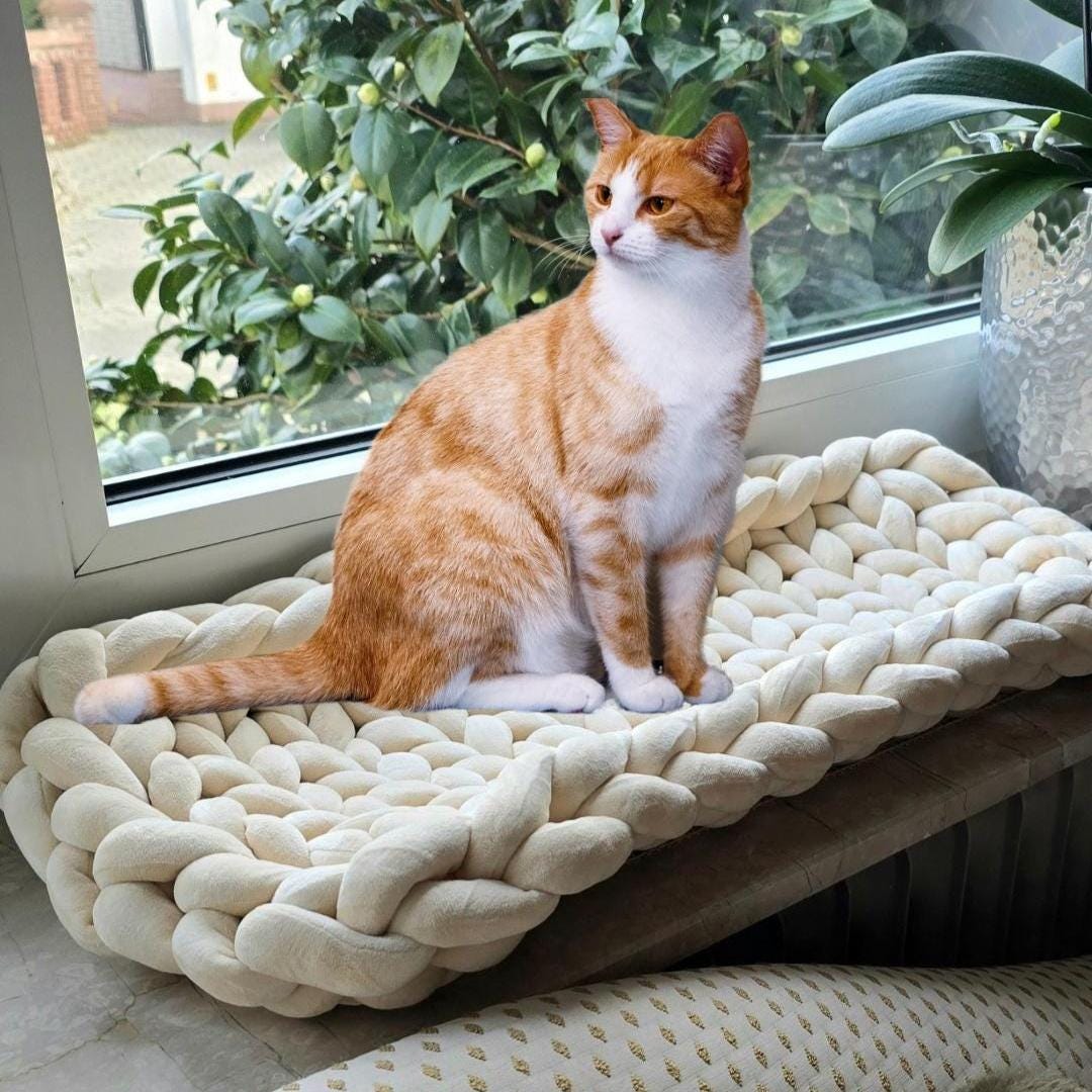 ✔ Perfekte Passform: Passt ideal auf Fensterbänke, damit deine Katze entspannt die Aussicht genießen kann.
✔ Weich & gemütlich: Hochwertige Polsterung sorgt für maximalen Komfort.