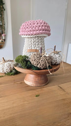 Pilz Aufbewahrungskorb mit Deckel – Gehäkelter kleiner Korb fürs Kinderzimmer und Wickeltisch – Scandi Deko & Geschenk zur Geburt Gr S M Set